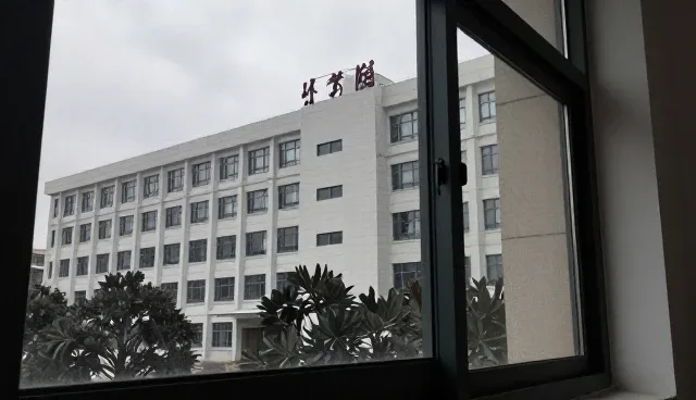 域名管理项目选型的关键因素与应用场景分析